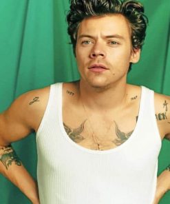Harry Styles Green Background Paint By Numbers