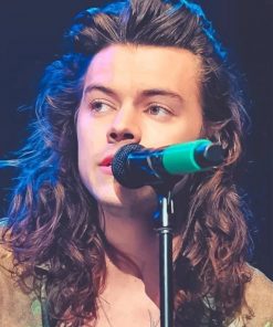 Harry Styles Singing Paint By numbers