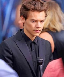 Harry Styles Wearing Black Classy Suit paint by numbers