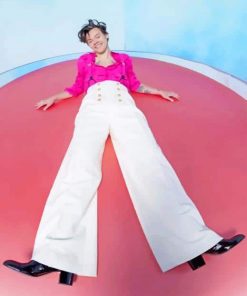 Harry Styles Wearing Pink Paint By Numbers