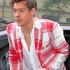 Harry styles wearing White Red Suit paint By numbers