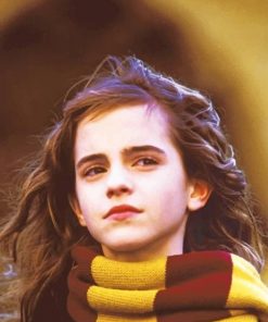 Hermione Granger Paint By numbers