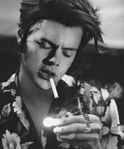 Hot Harry Styles paint By Numbers