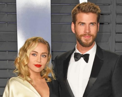 Liam hemsworth and miley cyrus couple paint by numbers