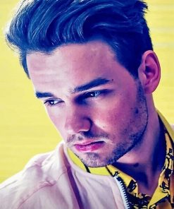 Liam Payne one direction adult paint by numbers