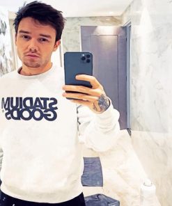 Liam Payne Selfie Paint By Numbers