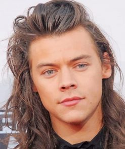 Long Hair Harry Styles Paint By Numbers