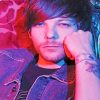 Louis tomlinson adult paint by numbers