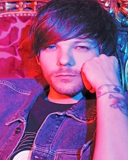 Louis tomlinson adult paint by numbers