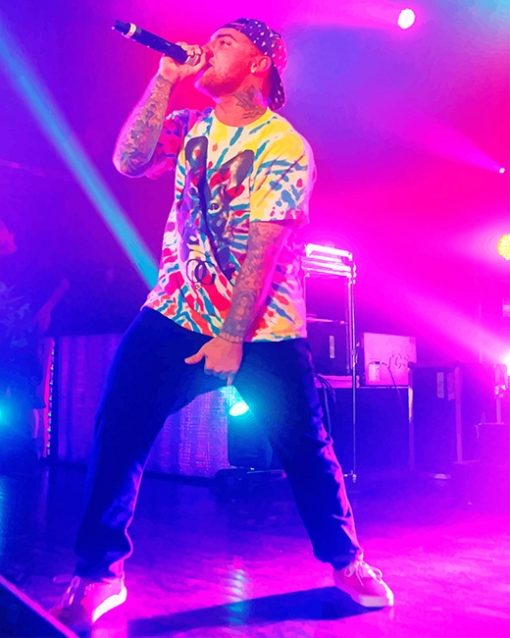 Mac Miller On Stage paint by number
