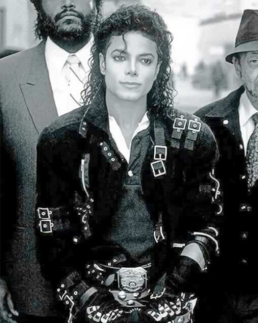 Michael Jackson paint by numbers