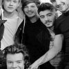 One Direction Family adult paint by numbers