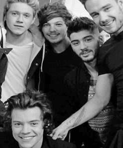One Direction Family adult paint by numbers