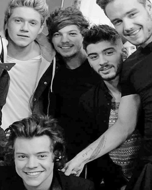 One Direction Family adult paint by numbers