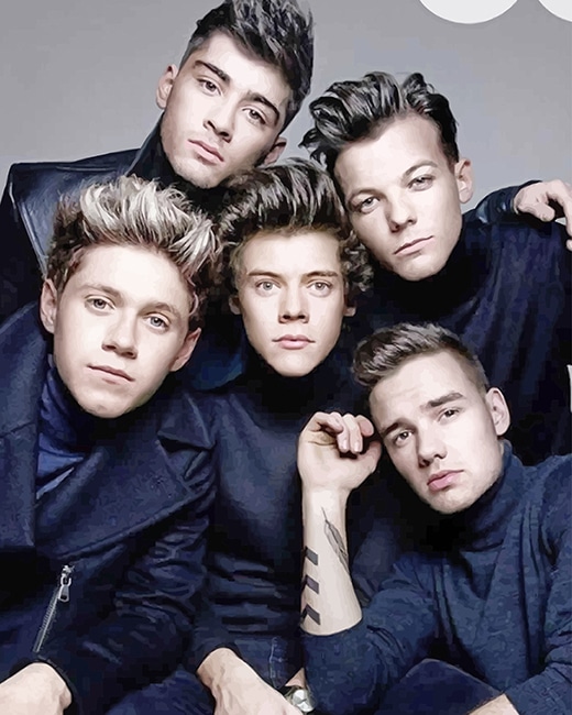 One Direction Photoshoot paint by numbers