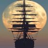 Pirates Of The Caribbean Paint by Numbers