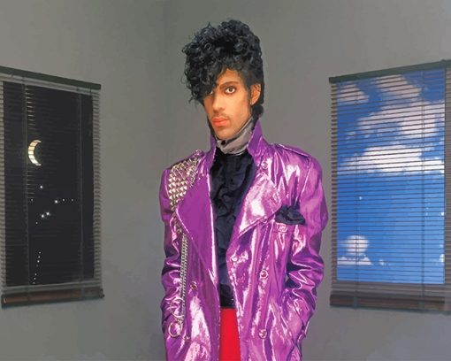 Prince before the rain adult paint by numbers
