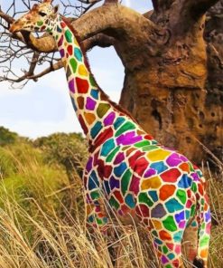 Rainbow Giraffe adult paint by numbers