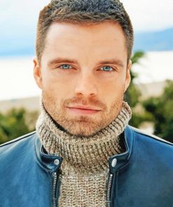 Sebastian Stan adult paint by numbers