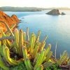 Sonora Terracotta Cactus Plant adult paint by numbers