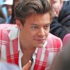 Stylish Harry Styles Paint By Numbers