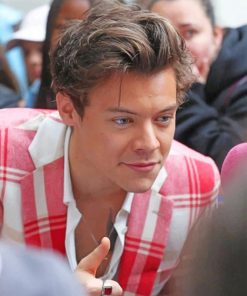 Stylish Harry Styles Paint By Numbers