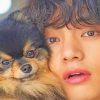 Tae and Yeontan adult paint by numbers