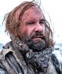 The Hound Sandor Clegane adult paint by numbers