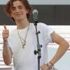 Timothee Chalamet On The Stage adult paint by numbers