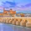 Torre De Calahorra Spain adult paint by numbers