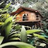 Wooden house adult paint by numbers