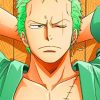 Zoro One piece adult paint by numbers