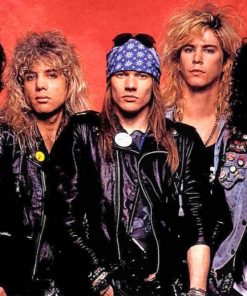 Band Guns N Roses paint by number