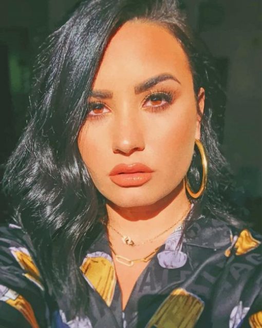 Beautiful Demi lovato Paint By Numbers