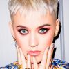 Beautiful ketty Perry paint by numbers