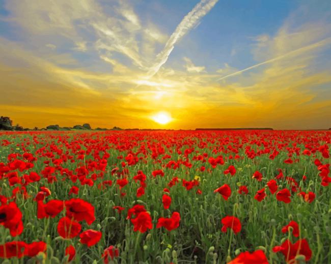 Beautiful nature paint by numbers