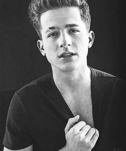 black and white charlie puth adult paint by numbers
