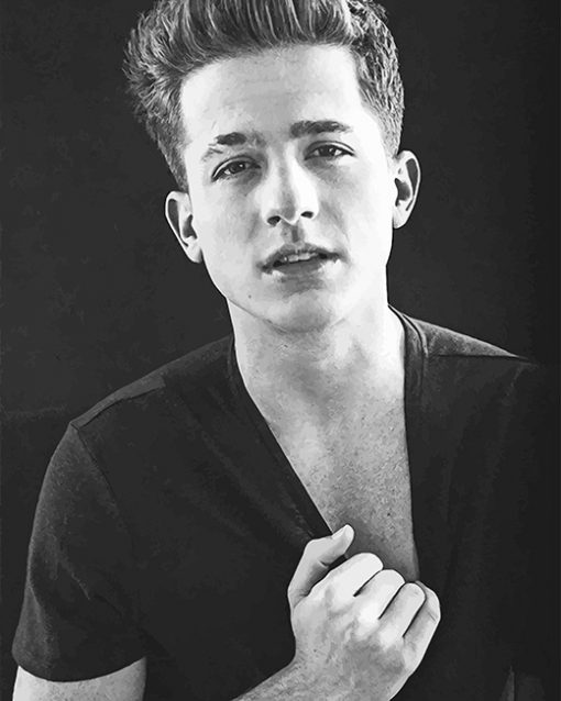 black and white charlie puth adult paint by numbers