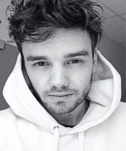 Black And White Liam Payne Paint By numbers
