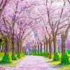 Cherry Blossom High Park Paint by number