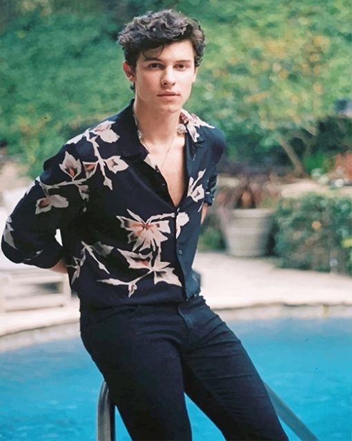Classy Shawn Mendes paint by number
