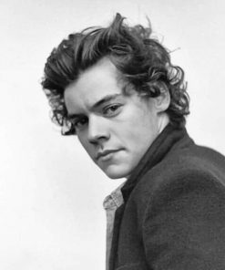 Cute Black And White Harry Styles Paint by Numbers