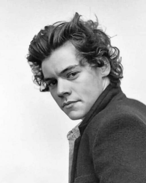 Cute Black And White Harry Styles Paint by Numbers