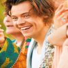 Cute Harry Styles paint by number