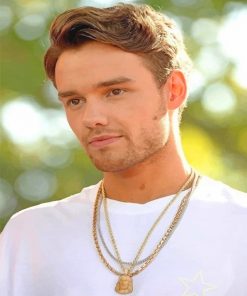 Cute Liam Payne paint by number