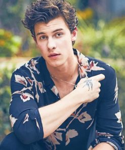 Cute Shawn Mendes Paint By Numbers