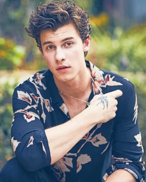 Cute Shawn Mendes Paint By Numbers