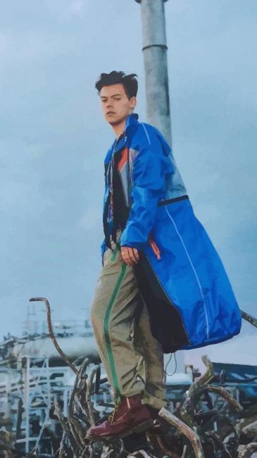 Dope Harry Edward Styles Paint By numbers