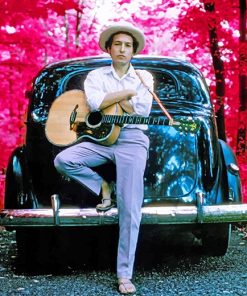 Elliott Landy Bob Dylan paint by numbers