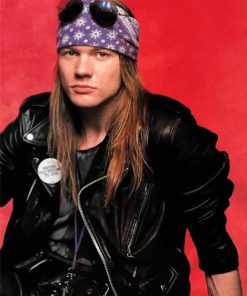 Gun N Roses Singer paint by number
